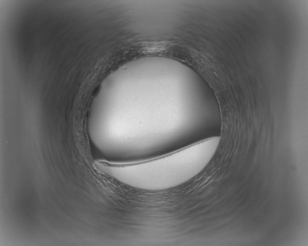 X0000068261441200604210902