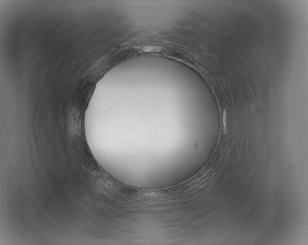 X0000068261443200604210902