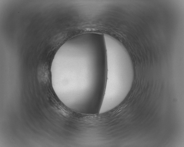X0000068261444200604210902