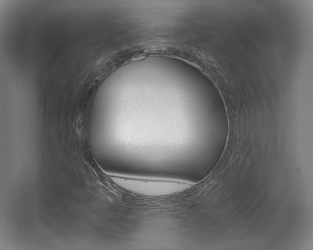 X0000068261445200604210902