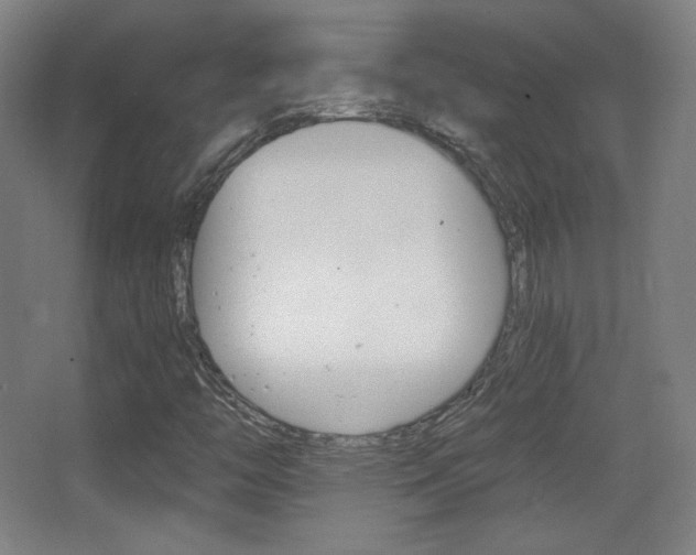 X0000068261446200604210902