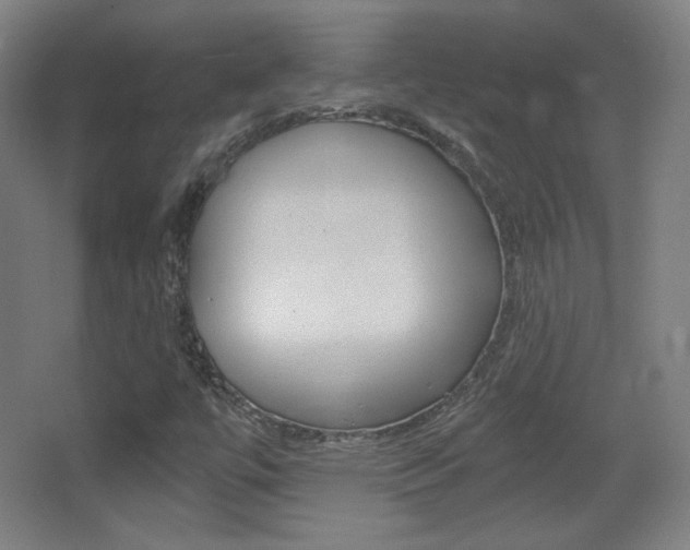 X0000068261447200604210902