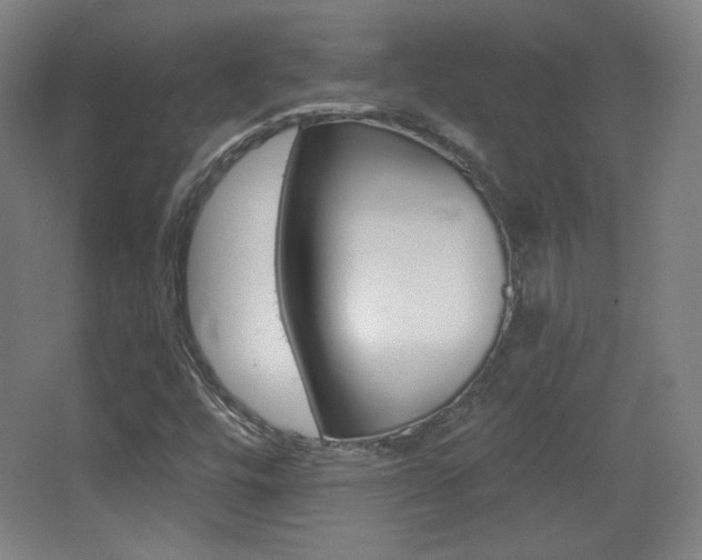X0000068261448200604210902