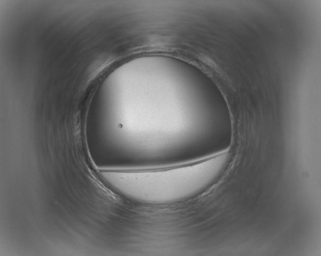 X0000068261450200604210902