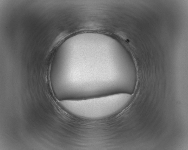 X0000068261451200604210902
