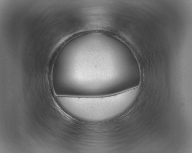 X0000068261452200604210902