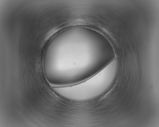 X0000068261453200604210902