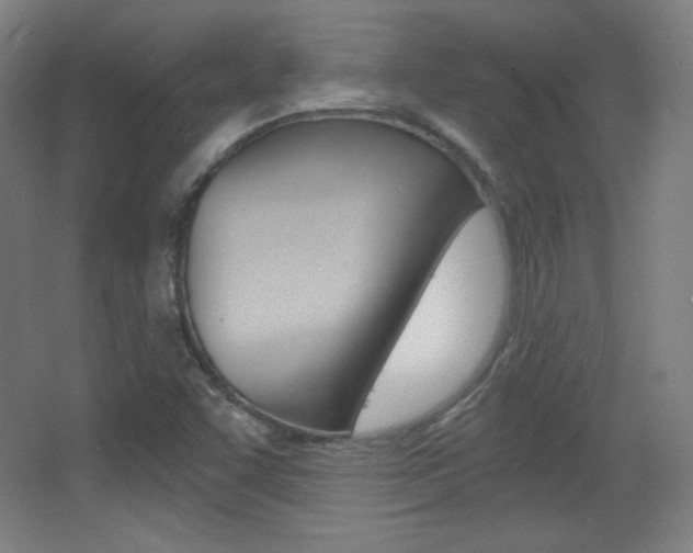 X0000068261455200604210902