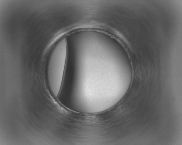 X0000068261456200604210902