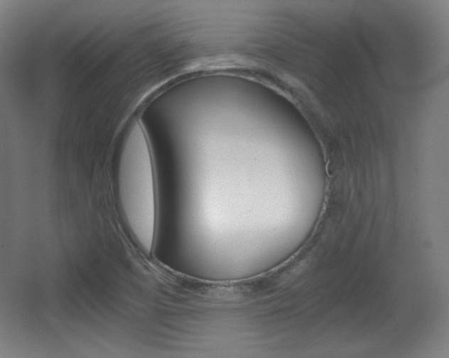 X0000068261457200604210902