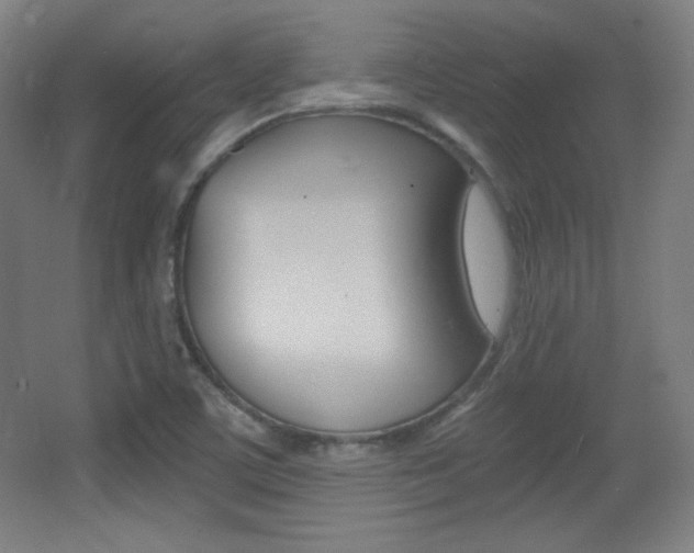 X0000068261459200604210902