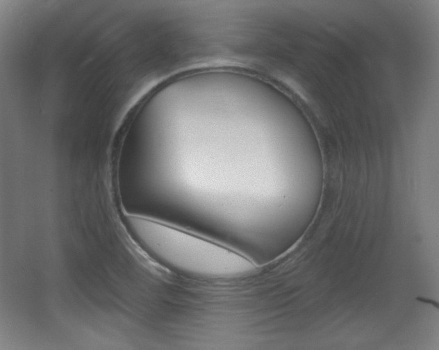 X0000068261460200604210902