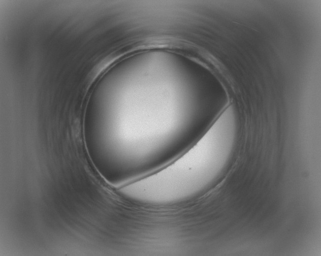 X0000068261465200604210902