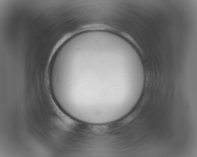 X0000068261466200604210902