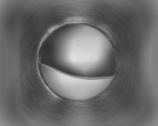X0000068261472200604210901