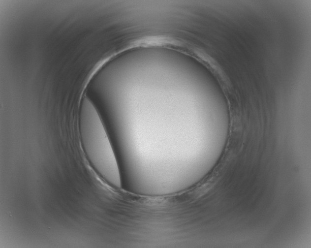 X0000068261473200604210901