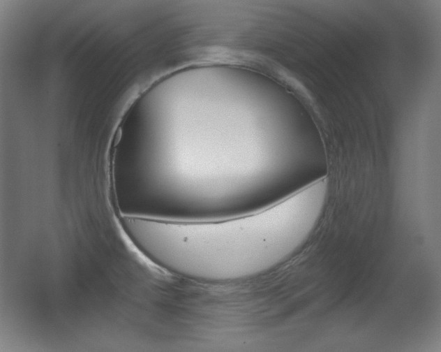 X0000068261479200604210901