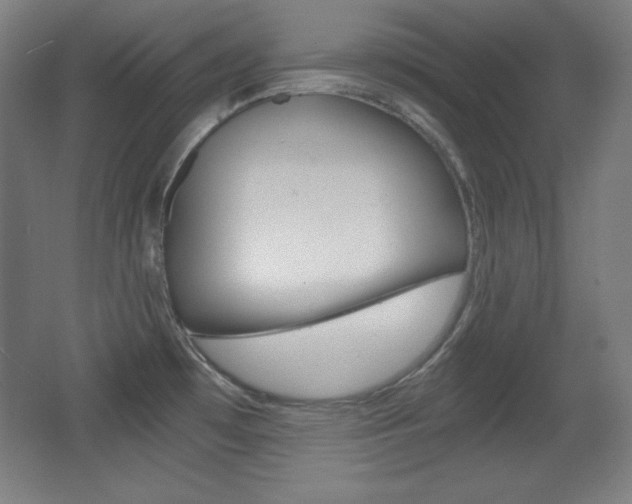 X0000068261481200604210901