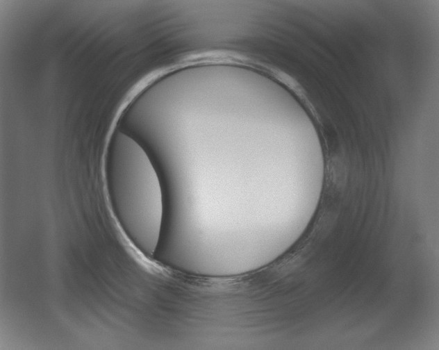 X0000068261482200604210901