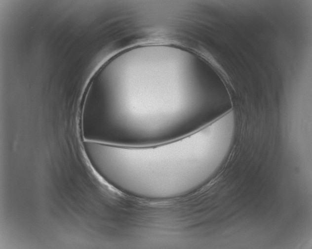 X0000068261484200604210901