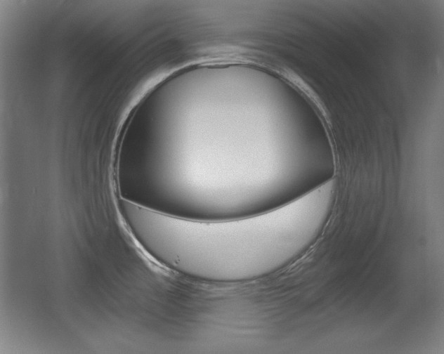 X0000068261485200604210901