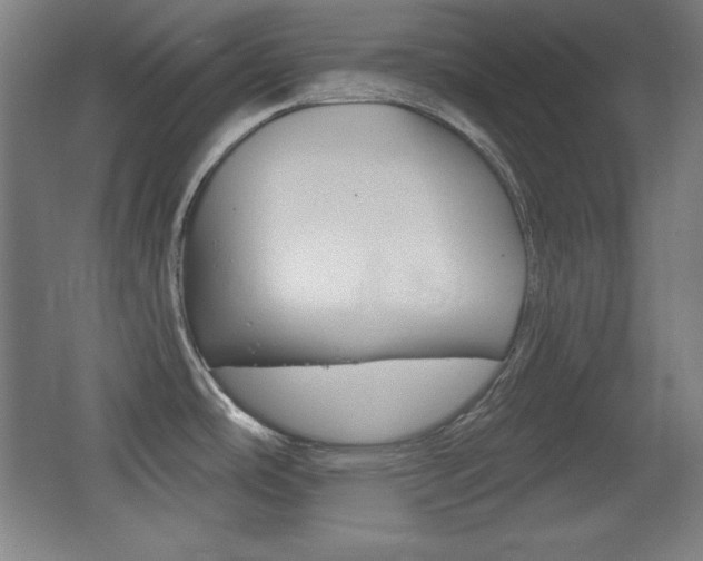 X0000068261486200604210901