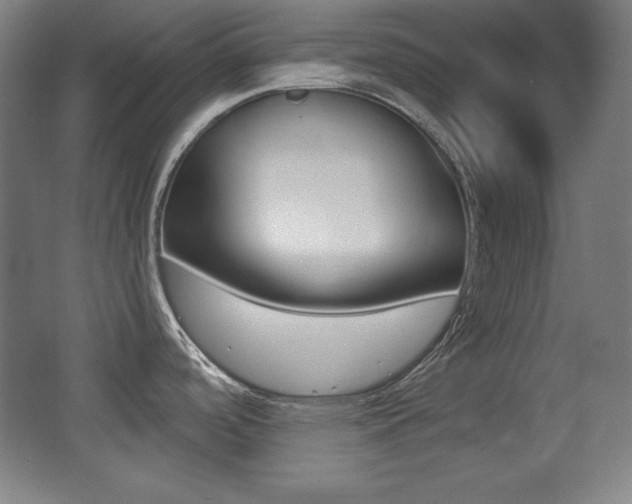 X0000068261488200604210901