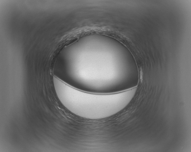 X0000068261492200604210900