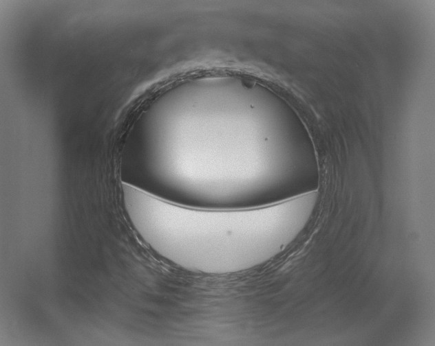 X0000068261494200604210900