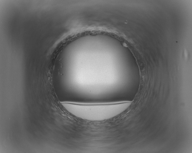 X0000068261495200604210901
