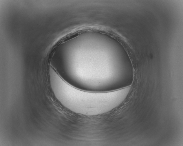 X0000068261496200604210901