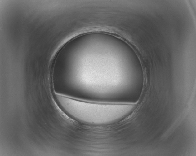 X0000068261500200604210901
