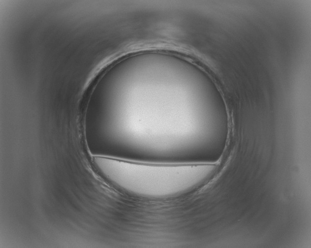 X0000068261501200604210901