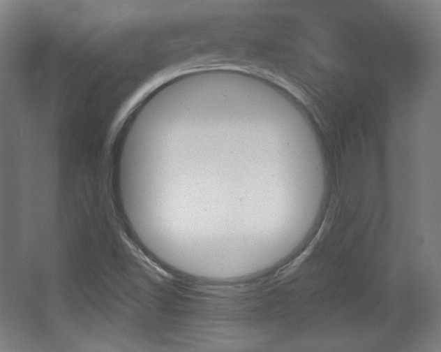X0000068261502200604210901