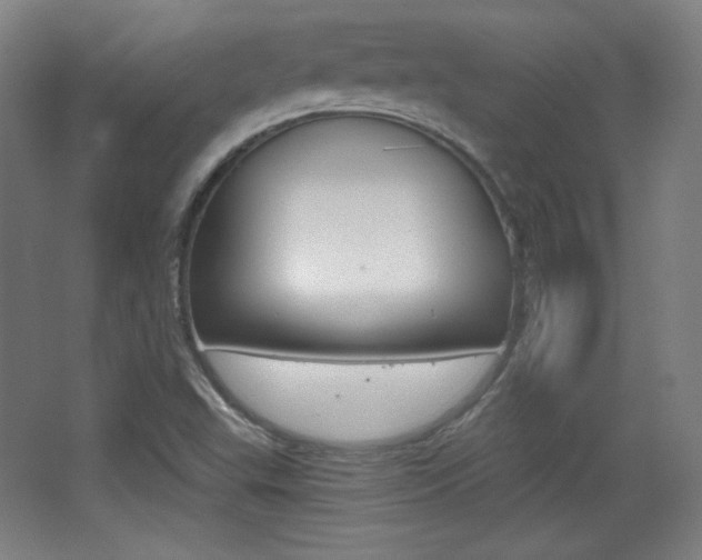 X0000068261503200604210901