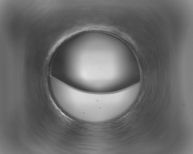 X0000068261504200604210901