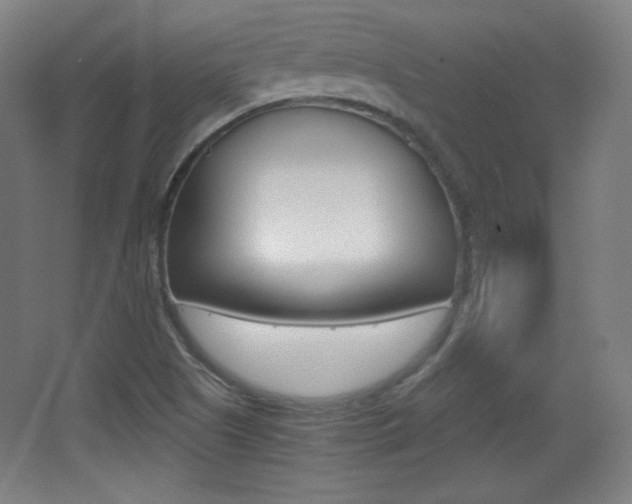 X0000068261505200604210901