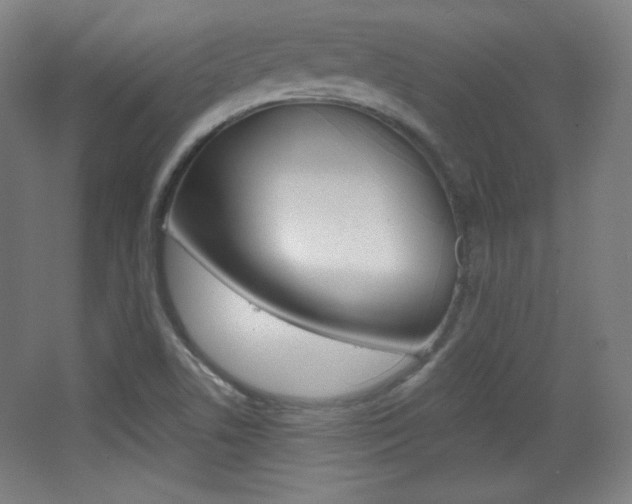 X0000068261506200604210901
