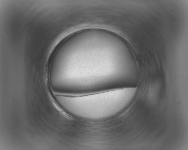 X0000068261511200604210901