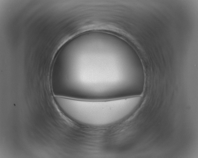 X0000068261513200604210901