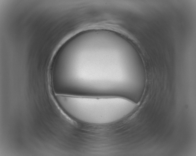 X0000068261517200604210901