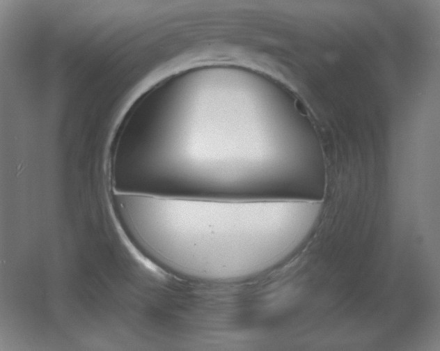 X0000068261519200604210901