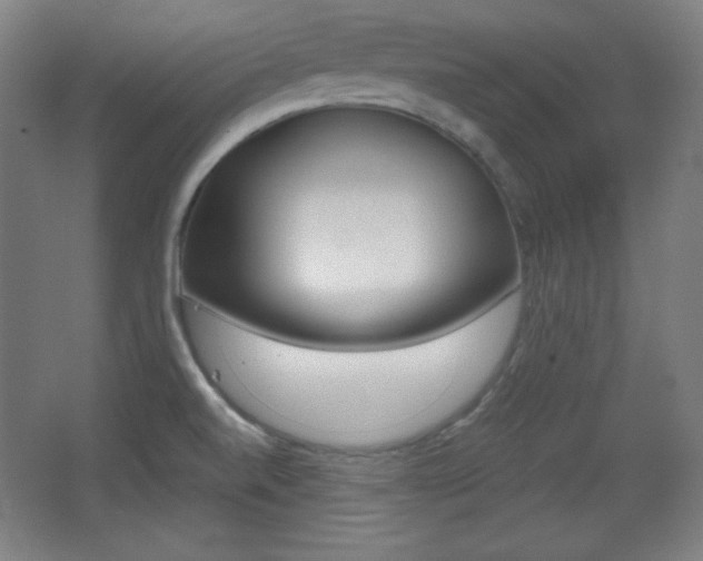 X0000068261520200604210901