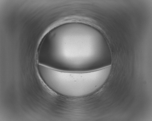 X0000068261522200604210901