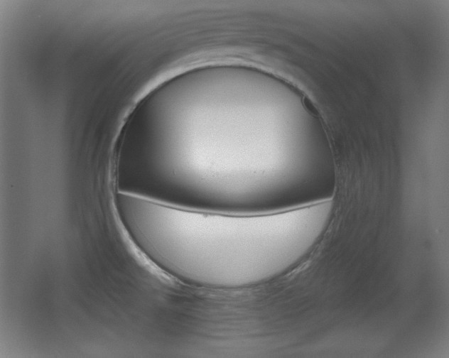X0000068261526200604210901
