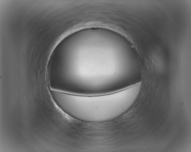 X0000068261527200604210901