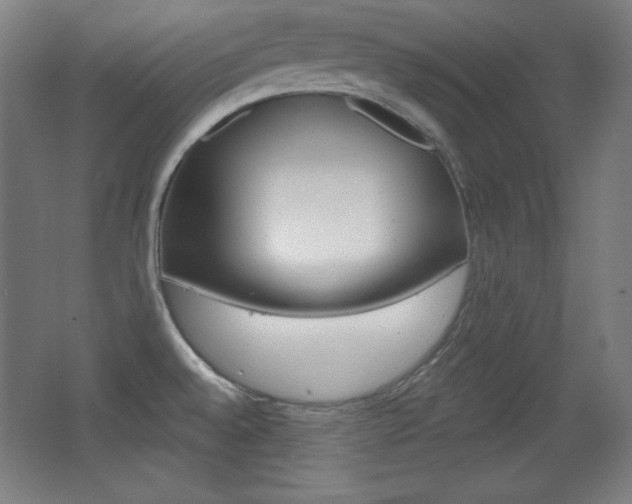 X0000068261528200604210901