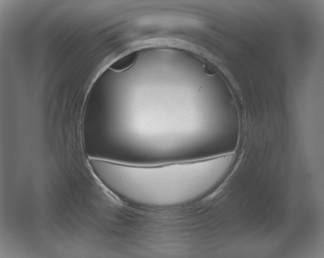 X0000068261529200604210901