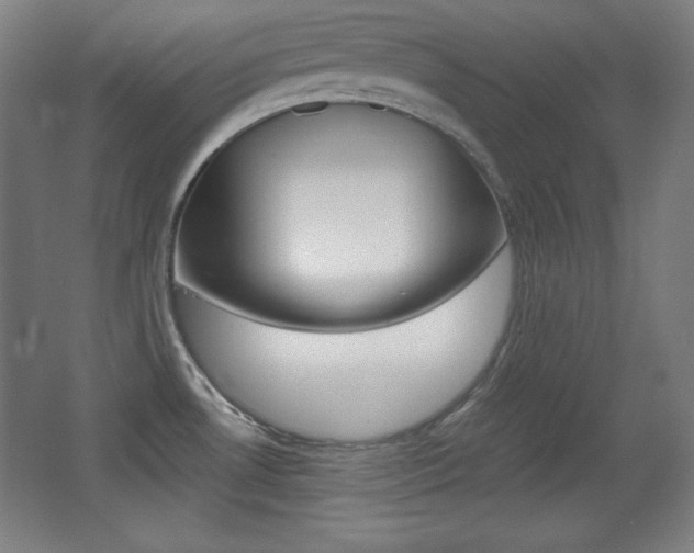 X0000068261530200604210901