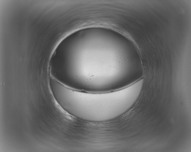 X0000068261532200604210901
